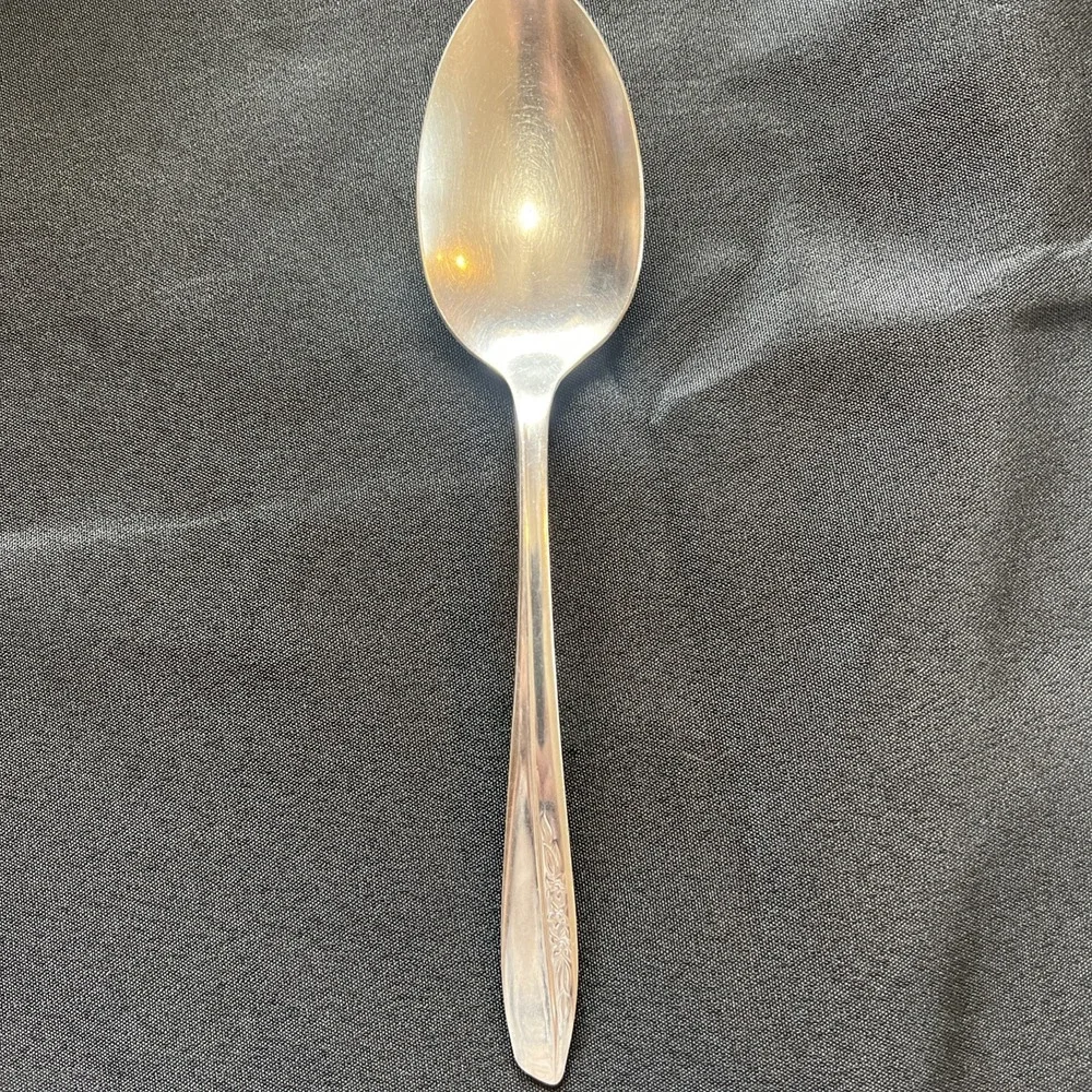 Insico International Silver Stainless Serving Spoon 8.5